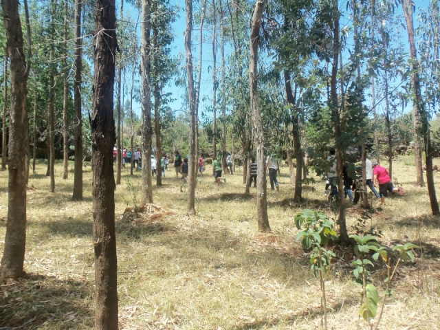 Recorridos de naturaleza